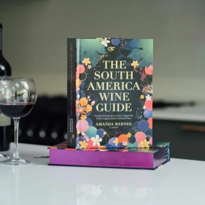 southamericawineguide.com's icon
