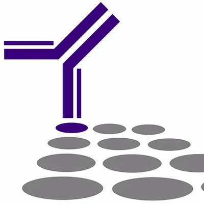 southernbiotech.com's icon