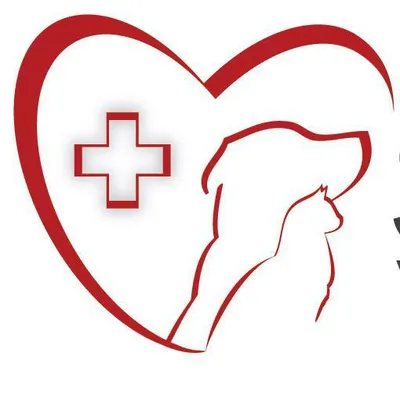 southtownvet.com's icon