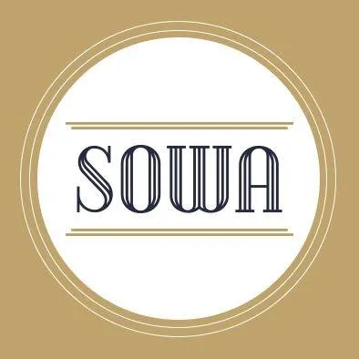 sowa.consulting's icon
