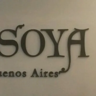 soya.com.ar's icon