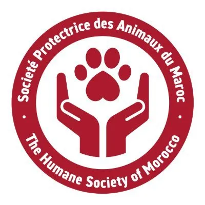 spadumaroc.com's icon