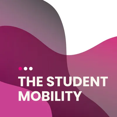 spain-internship.com's icon