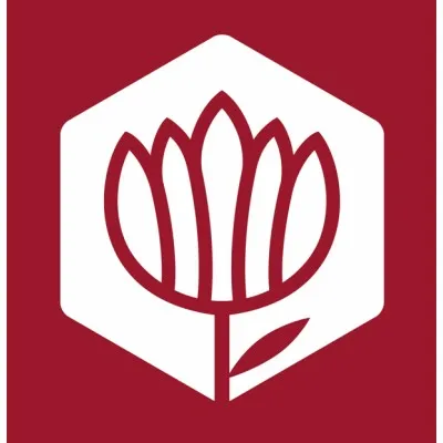 sparfel.com's icon