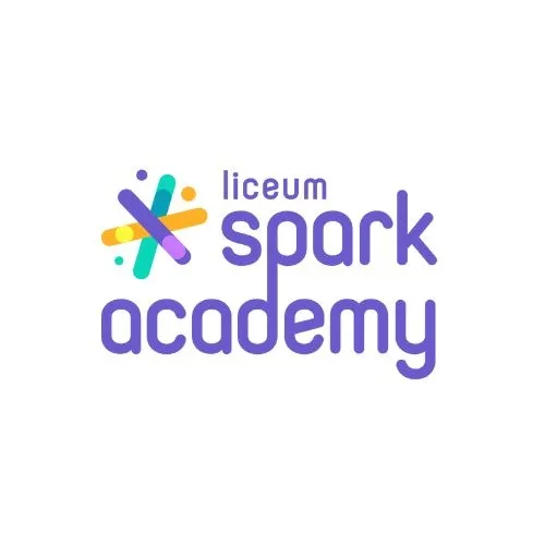 Fundacja Spark Academy Foundation