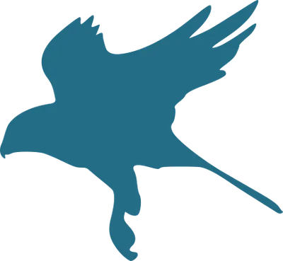 spatial-eye.com's icon
