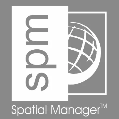 spatialmanager.com's icon