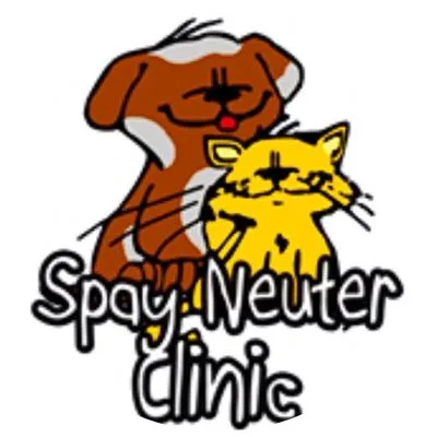 spayaz.com's icon