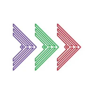 speednetworkinggroup.com's icon