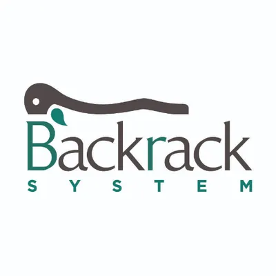 spinalbackrack.com's icon