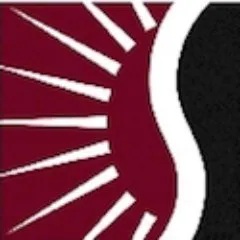 spinalinterventions.com's icon
