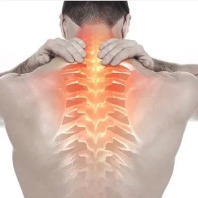 spinalrehabcenter.com's icon