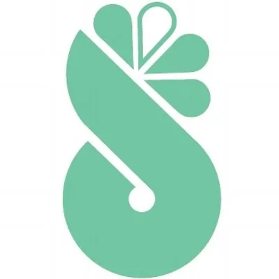 spinnrad.de's icon