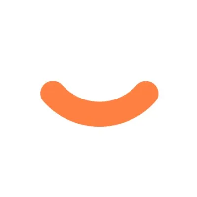 spinwise.com's icon
