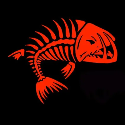 spinwright.com.au's icon