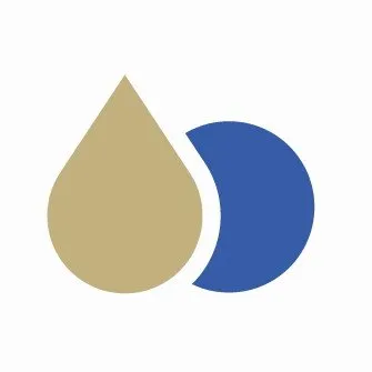spiritory.com's icon