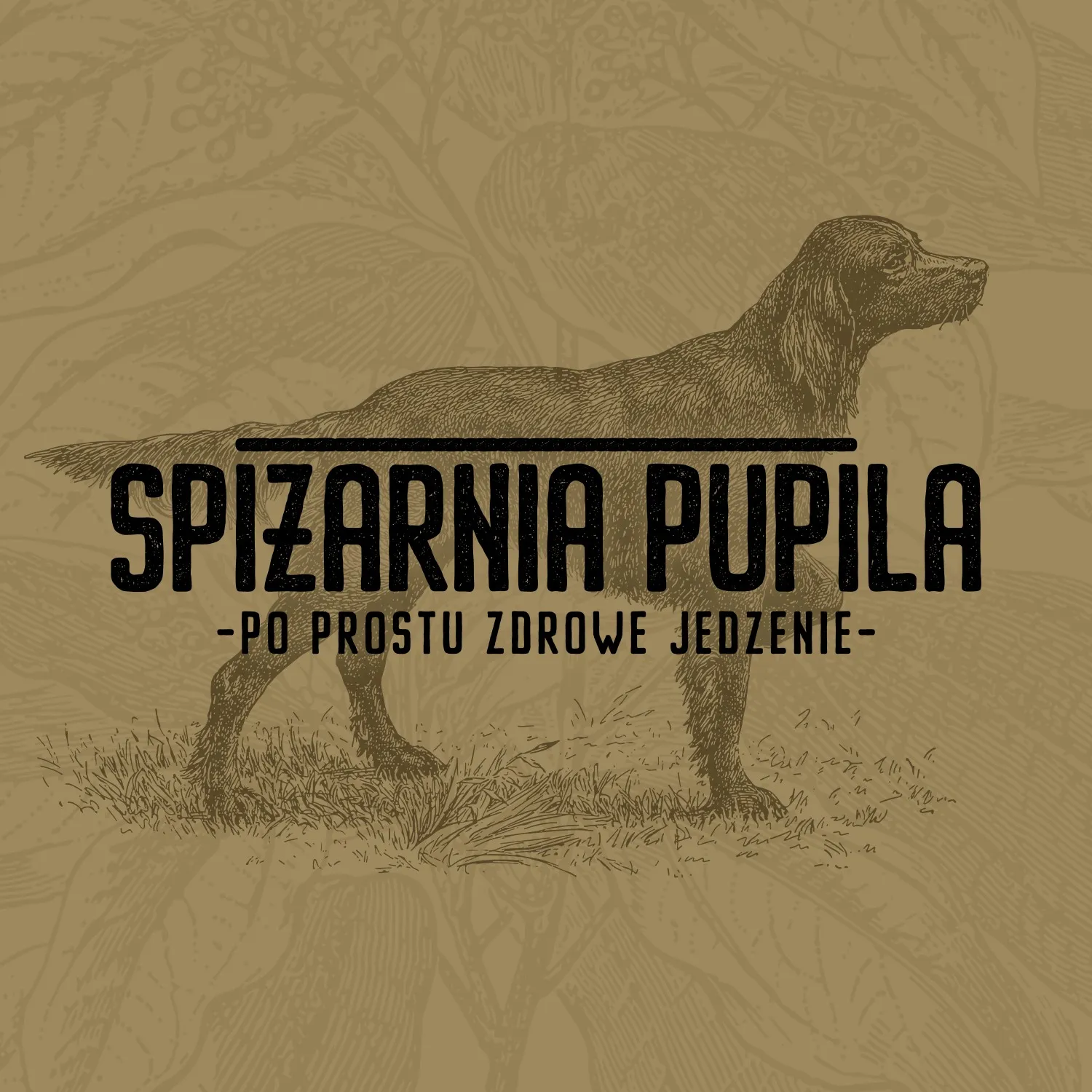 Spiżarnia Pupila sp. z o.o.