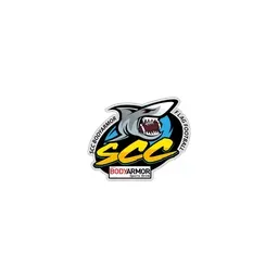 sportscenterconsulting.com's brand icon