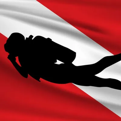 springadventures.net's icon