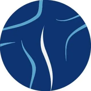 springchiropractic.com's icon