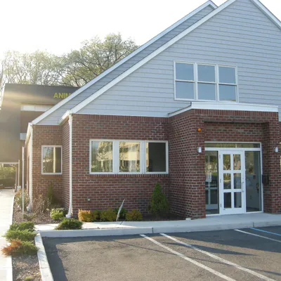 springvalleyanimalhospital.com's icon