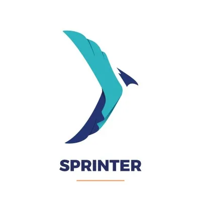 sprinter-pro.com's icon