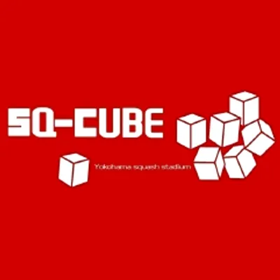 sq-cube.com's icon