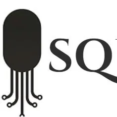squidifytech.com's icon