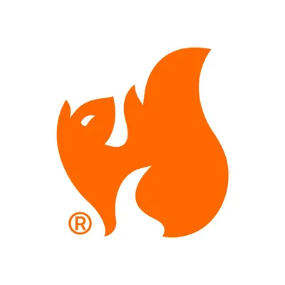squirrel-studio.com's icon