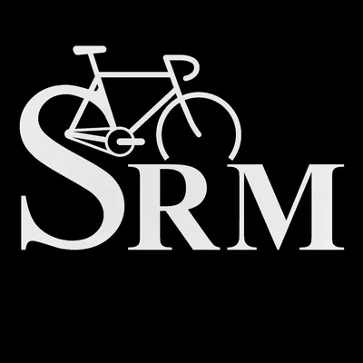 srm.de's icon