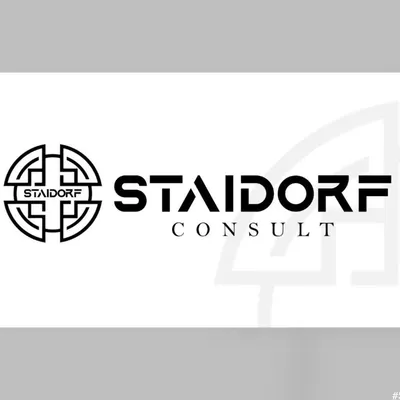 staidorfconsult.com's icon