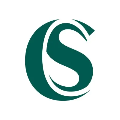 stakelumconsultancy.com's icon