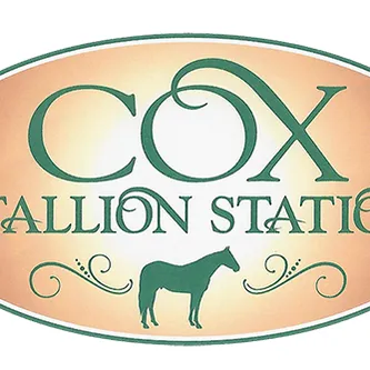 stallionesearch.com's icon