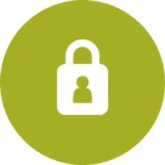 standardusercyber.com's icon