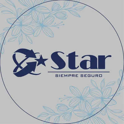 stardecolombia.co's icon