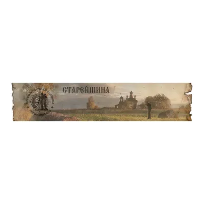 stareishina.com's icon