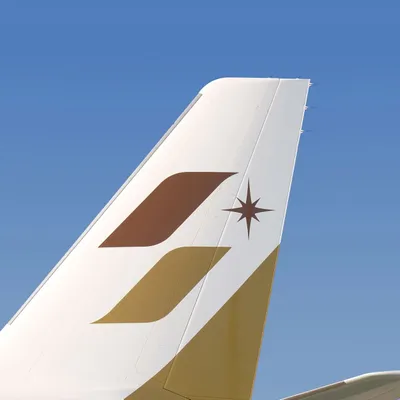 Starlux Airlines's icon