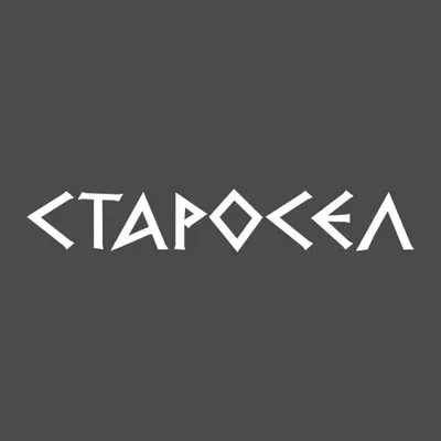 starosel.com's icon