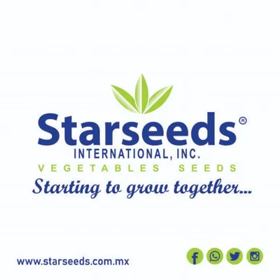 starseeds.com.mx's icon