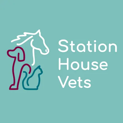 stationhousevets.com's icon