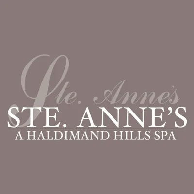 steannes.com's icon