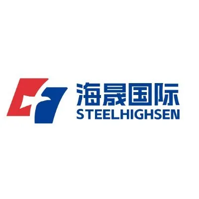 steelhighsen.com's icon