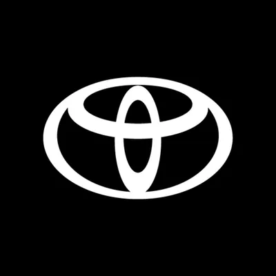 stefanimotors.com.br's icon