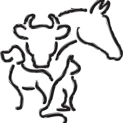 steffanvets.com's icon
