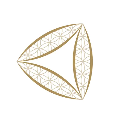 steinerkovarik.com's icon