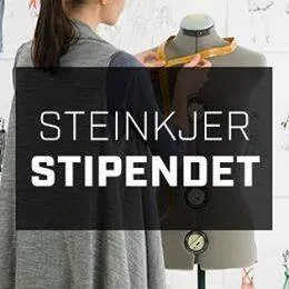 steinkjerstipendet.no's icon