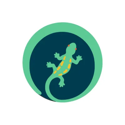 Stellionet's icon