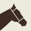 stepuphorse.com's icon