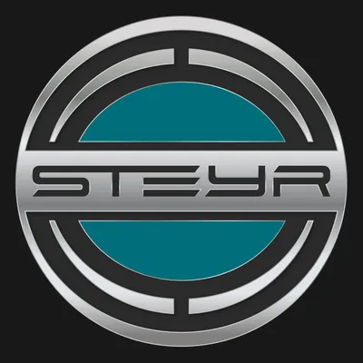 steyr-automotive.com's icon