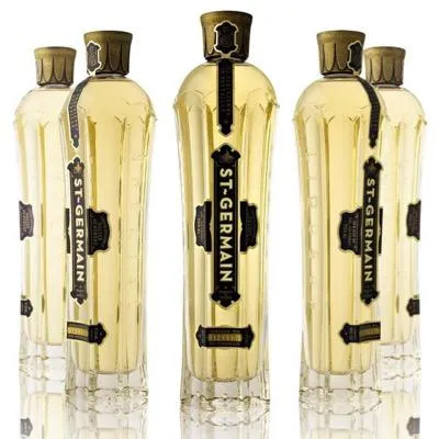 stgermainliqueur.com's icon